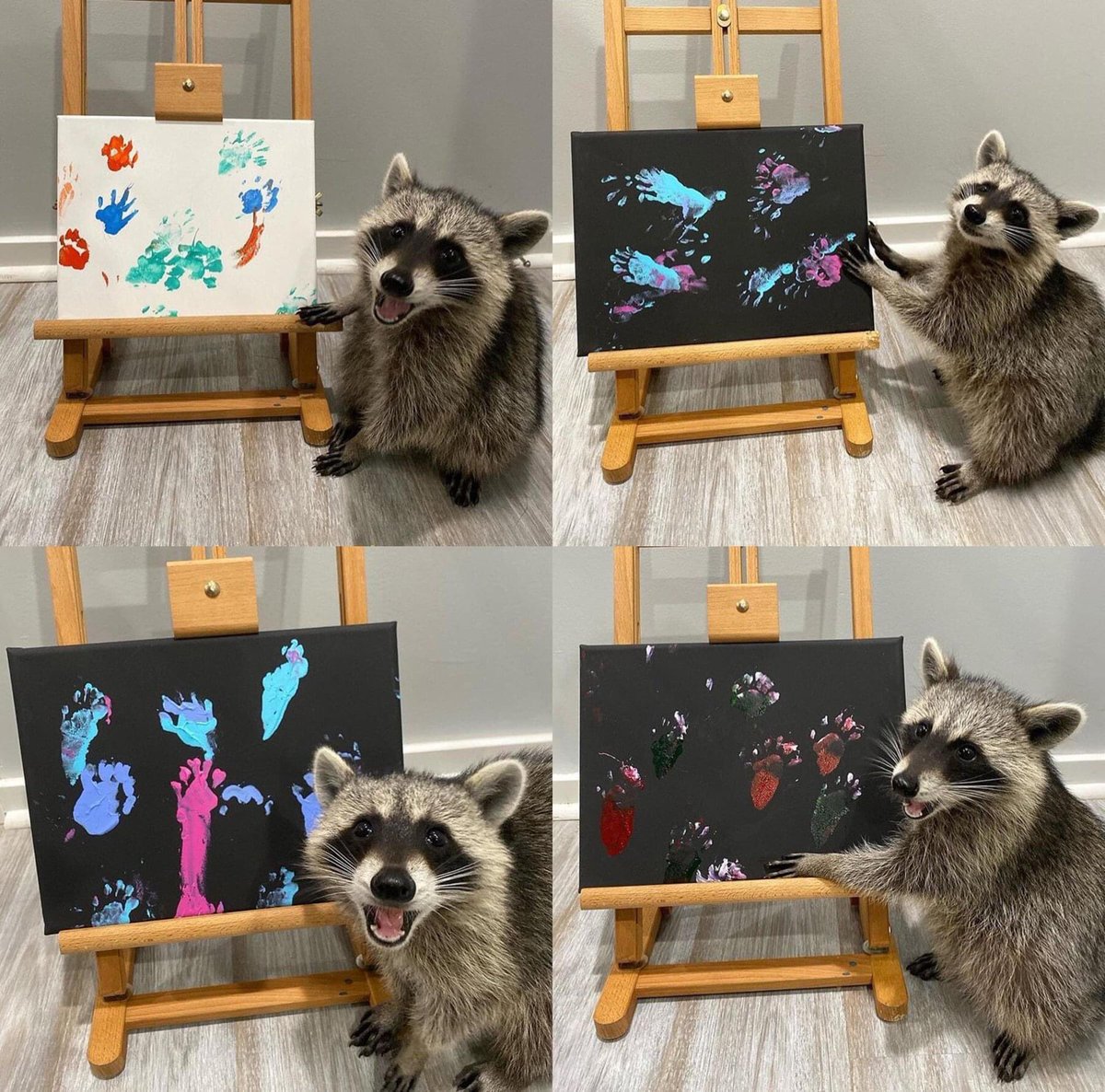 ChicksRule's tweet photo. I wish I were as proud of anything in my life as this little dude https://t.co/1wJA0GXR5H