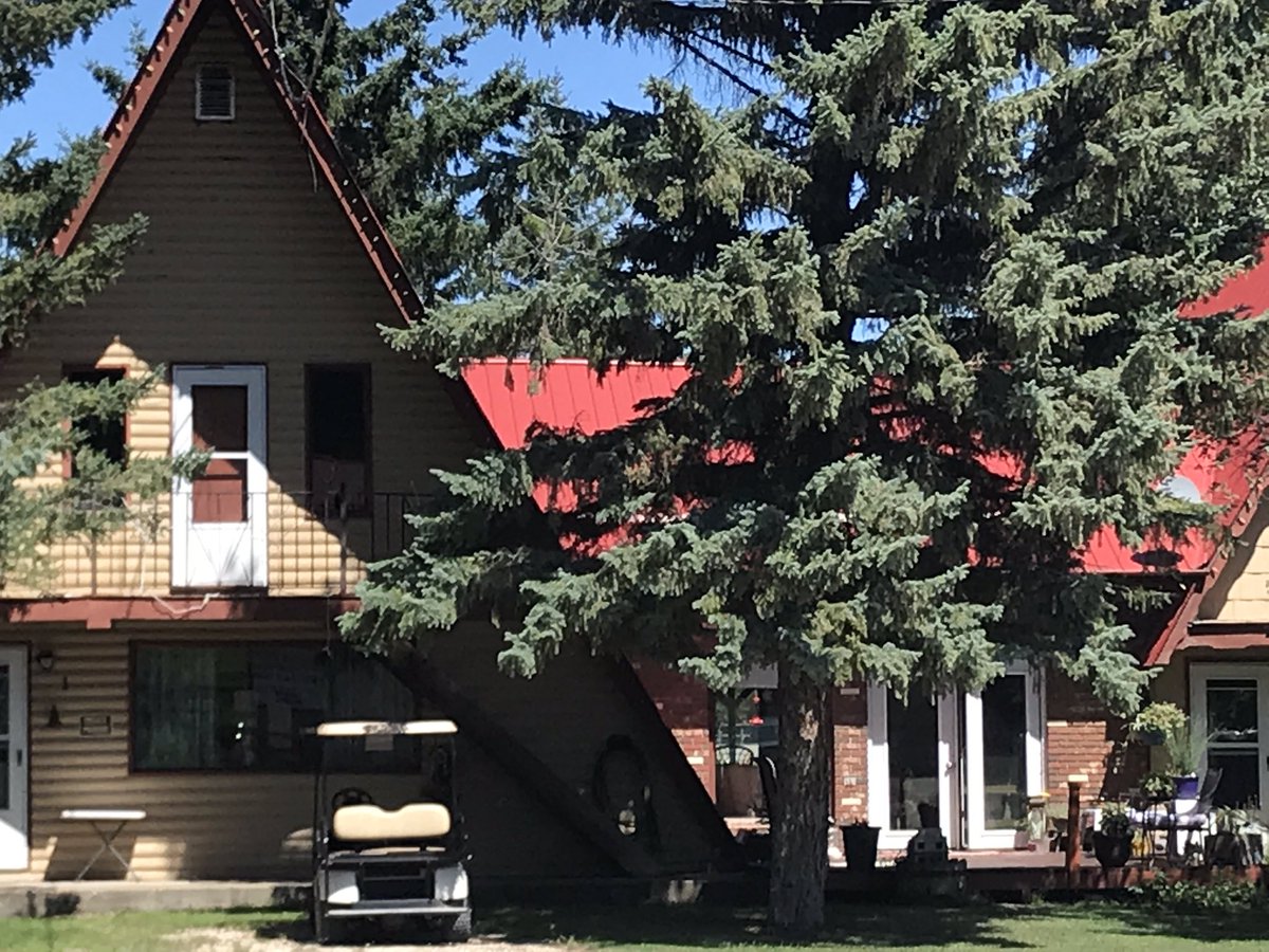 LouiseCarduner's tweet photo. Tuesday, July 28th! La Rivière, #Manitoba 🇨🇦

Have you been to Holiday Mountain? If so - show us with a GIF how your experience was 😁

@FarmLinkCanada #FLCropTour20 #MbAg #FLintheField #BootsonTheGround #grow20 #harvest20 #Manitoba #Canada https://t.co/2GUt8tME60