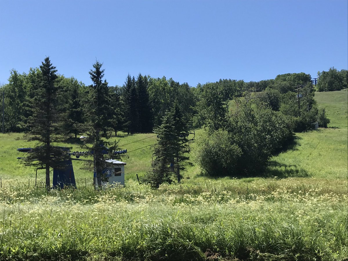 LouiseCarduner's tweet photo. Tuesday, July 28th! La Rivière, #Manitoba 🇨🇦

Have you been to Holiday Mountain? If so - show us with a GIF how your experience was 😁

@FarmLinkCanada #FLCropTour20 #MbAg #FLintheField #BootsonTheGround #grow20 #harvest20 #Manitoba #Canada https://t.co/2GUt8tME60