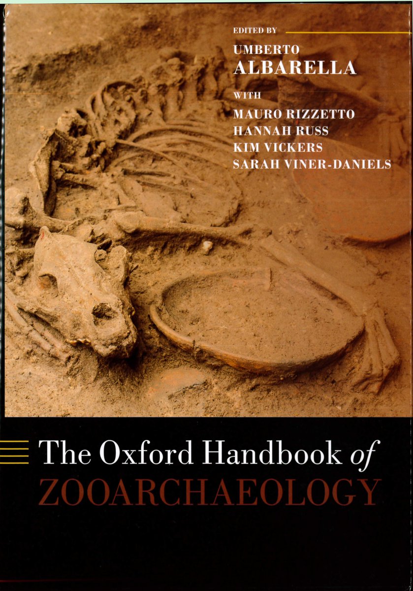 ZooarchLabSheff's tweet photo. We are delighted to announce that the *Oxford Handbook of Zooarchaeology* is now available in its much more affordable paperback version! @ZooarchLabSheff @UniShefArch @UAlbarella @Dr_Fishbones 
https://t.co/s6avQv0C0d https://t.co/rYxoxe79X3