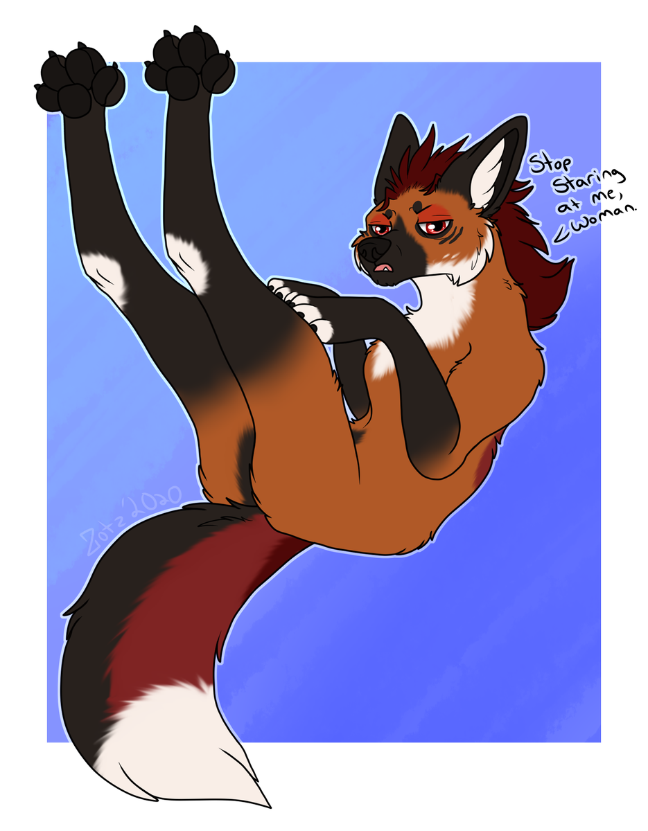 ArtZotz's tweet photo. Felix stretching his leggies! Never skip leg day.

#sfw #furry #feral #manedwolf https://t.co/AVZ5PJmQrO