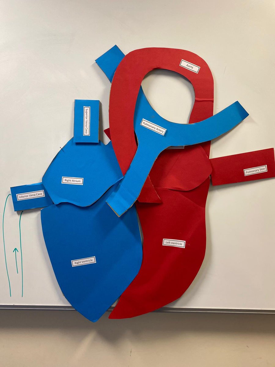 Acute Care Response Team 💙 tweet media