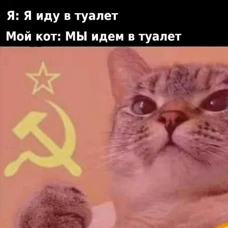 so_mad_so_funny's tweet image. 