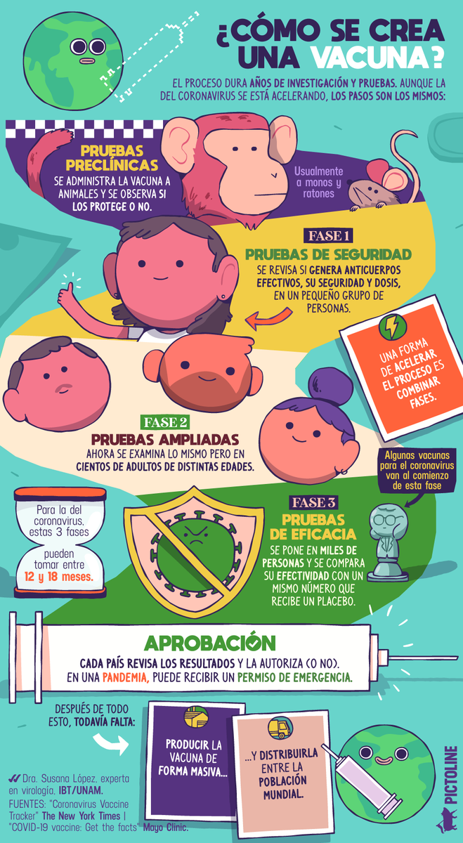 pictoline's tweet photo. ¿Cómo se crea una vacuna? 💉
¿Y en qué paso va actualmente la del coronavirus? 👀 https://t.co/H5saNbD1co