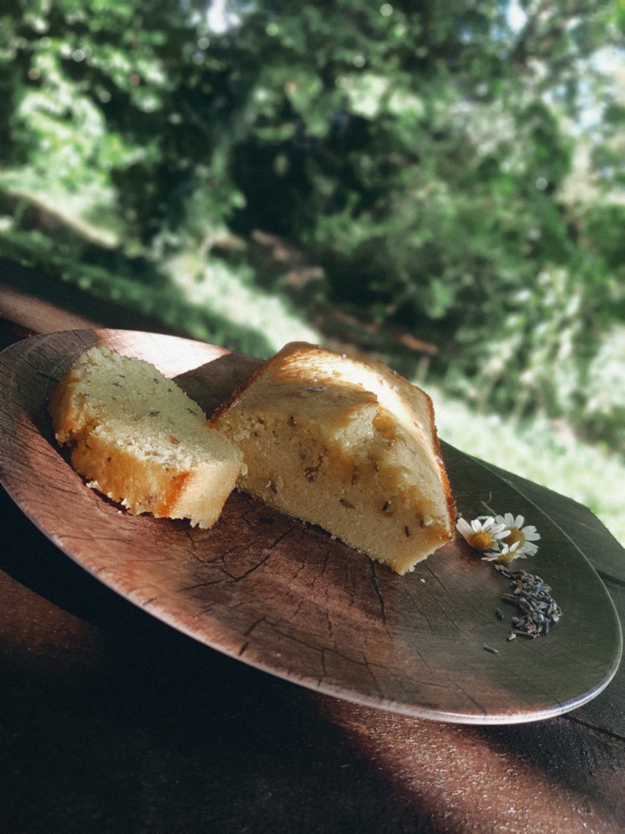 Elliosamer's tweet photo. ┏━━━━━•°•°✦°•°•━━━━━┓
        Gâteau au citron et à la 
                     lavande

┗━━━━━•°•°✦°•°•━━━━━┛ https://t.co/20f6agchMw