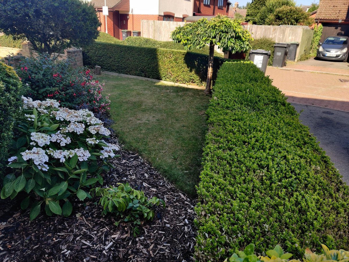 empirelandscap3's tweet photo. What a transformation!! A fabulous luxury artificial grass installation completed in #snodland. #landscaping #artificialgrass #happycustomer #simplegrass #everedge https://t.co/LNsZ5jla0E