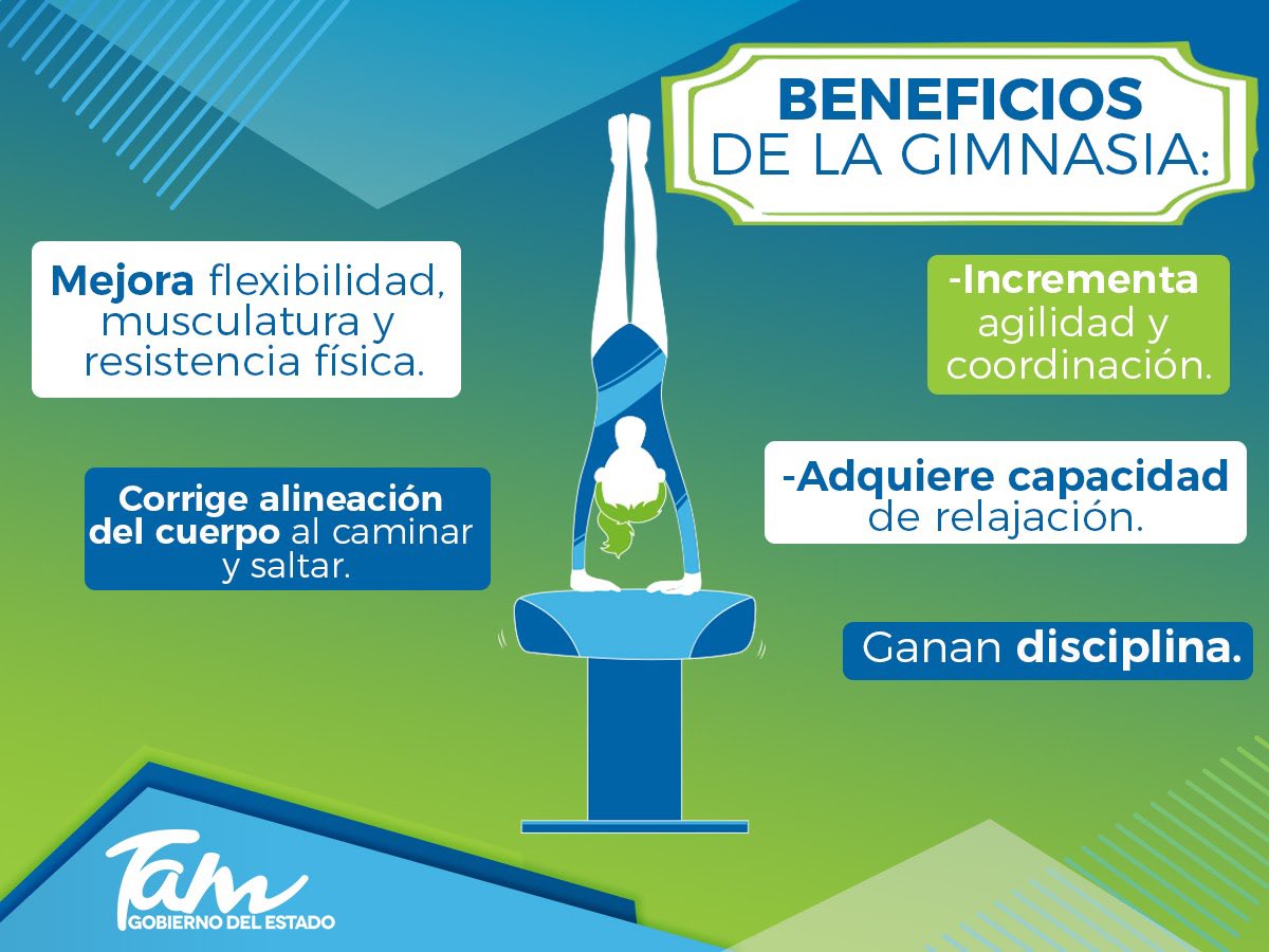 INDETamaulipas's tweet photo. #BeneficiosDelDeporte 🤸‍♀️ 

La #Gimnasia Rítmica y Artística, son disciplinas que otorgan grandes beneficios física y mentalmente a nuestros #AtletasTam 🙌🏼💪🏼. Sin duda un deporte de disciplina y que se necesita mucha capacidad ✅

#OrgulloTamaulipeco 💙 https://t.co/6ttiIPYHQo