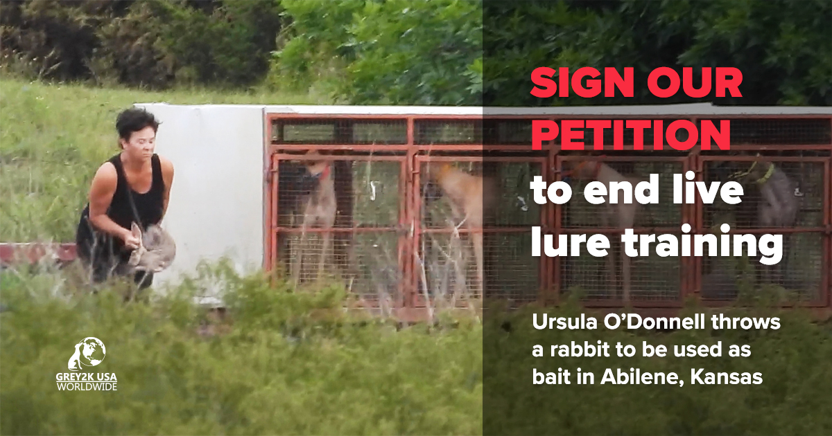 GREY2KUSA's tweet photo. Please sign our petition to #EndLiveLure training and help spread the word! https://t.co/yosohpEp6p. The more people who speak out, the faster we can shut down live lure farms. https://t.co/Owpfn2mQRV