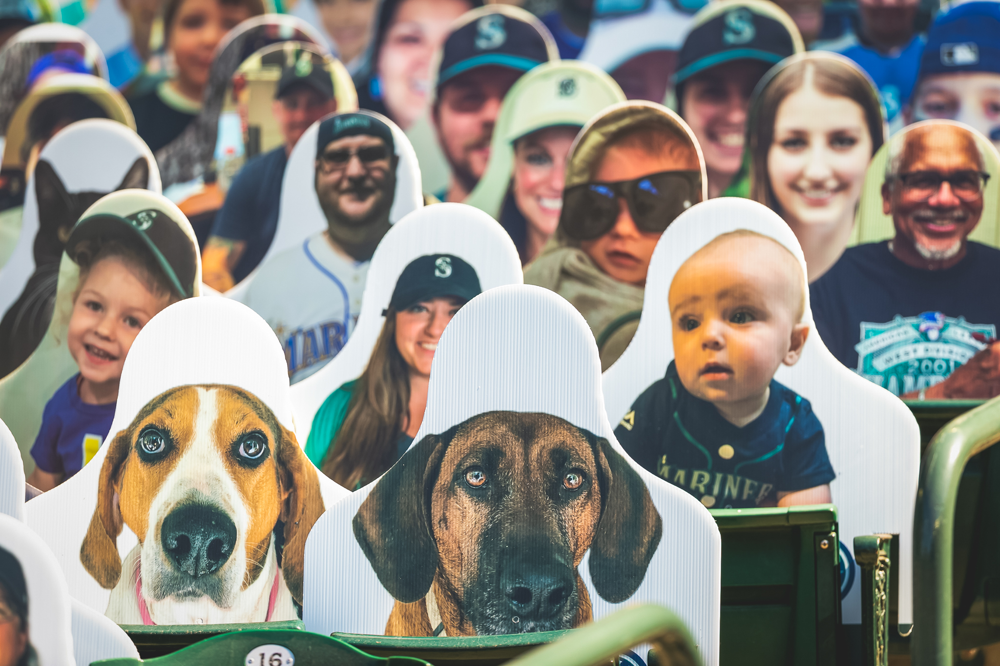 Seattle Mariners on Twitter "Babies and pups are Mariners fans too