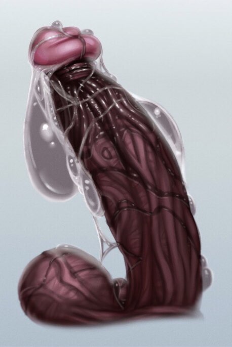 I’m a curious little bee...

🌟~𝙳𝚘𝚎𝚜 𝚢𝚘𝚞𝚛 𝚌𝚘𝚌𝚔 𝚑𝚊𝚟𝚎 𝚊 𝚗𝚊𝚖𝚎 𝚘𝚛 𝚊 𝚝𝚒𝚝𝚕𝚎?~🌟

(Art by Nomad-Reverse)💕