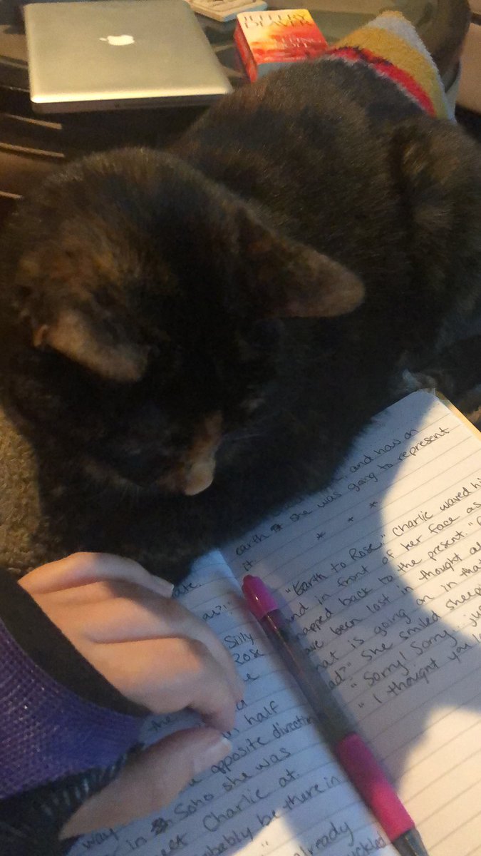 allisonmarie28's tweet photo. At this rate I’m going to have to give her a co-writing credit. #WritingCommunity #cats #catauthor https://t.co/4X6zeMiFyC
