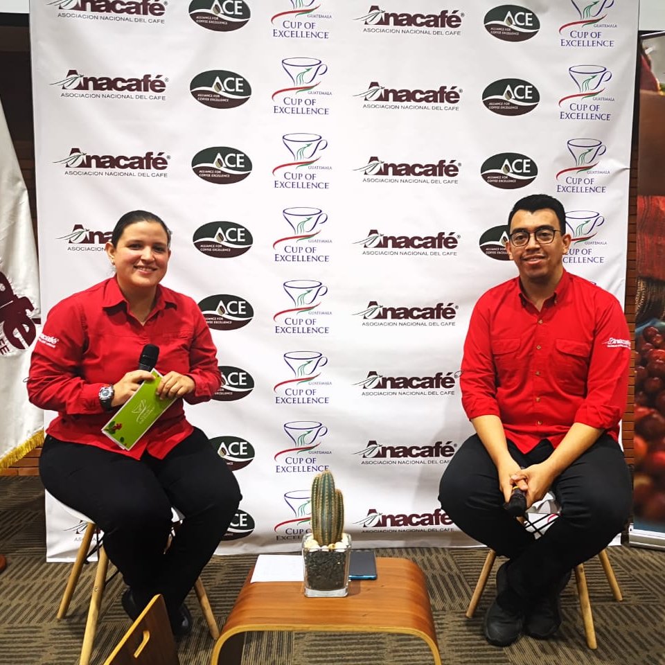 Guatemalacoffee's tweet photo. Guatemala #COE2020 Auction ended with a record-breaking highest price of $180.20 per pound and an average price of more than $25 per pound! Congratulations to all the producers and bidders. Thank you! https://t.co/xI0PmaI3CY