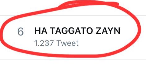 iniziano a twittare e postare, la lacrime scendono con una facilità impressionante. tutti taggano tutti, escono foto, i genitori che postano, le sorelle che li accompagnano. momento triste e malinconico, voto: 10/10 nonostante la disperazione LE TENDENZE DIVENTANO UN POSTO MAGICO