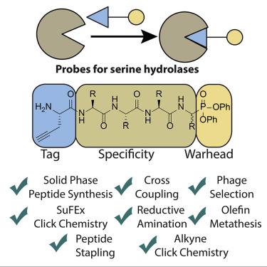 Dr. Mishtu Dey (@deymishtu) on Twitter photo Check out a new review <a href="/CellChemBiol/">CellChemicalBiology</a> by the group of <a href="/mbogyo/">Matthew Bogyo</a>: Strategies for tuning the selectivity of chemical probes that target serine hydrolases (cell.com/cell-chemical-…) Check out a new review <a href="/CellChemBiol/">CellChemicalBiology</a> by the group of <a href="/mbogyo/">Matthew Bogyo</a>: Strategies for tuning the selectivity of chemical probes that target serine hydrolases (cell.com/cell-chemical-…)