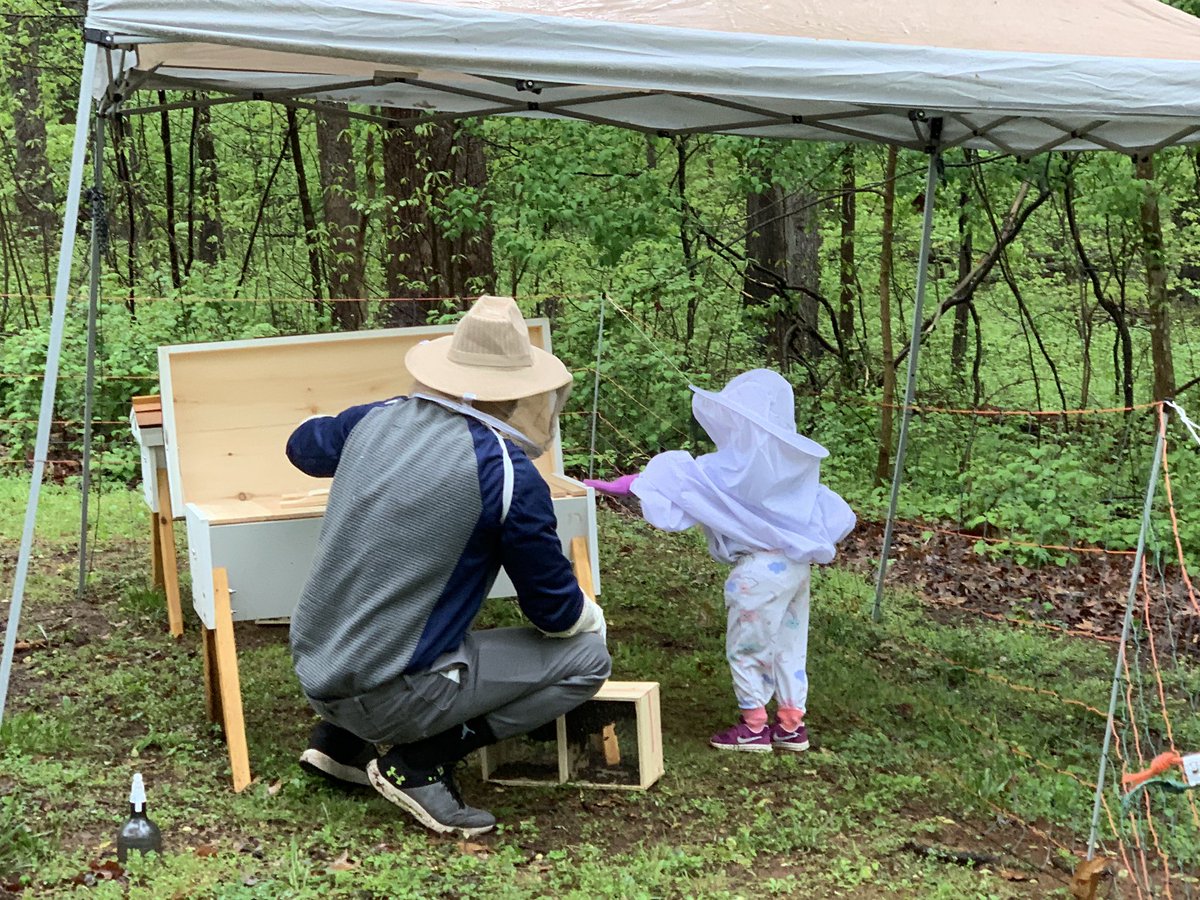 A6: I have learned all about honey bees and ducks since we added these to our little farm this spring! #SBTSAdventure