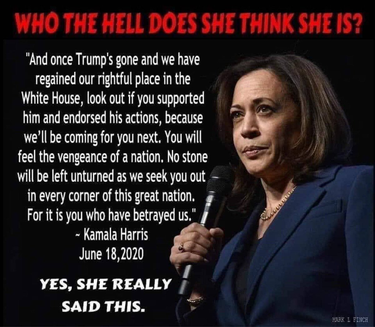 Adsvel's tweet photo. @KamalaHarris @adpalzcom Oh really, Kambala?🐟 https://t.co/6MfErKip0J