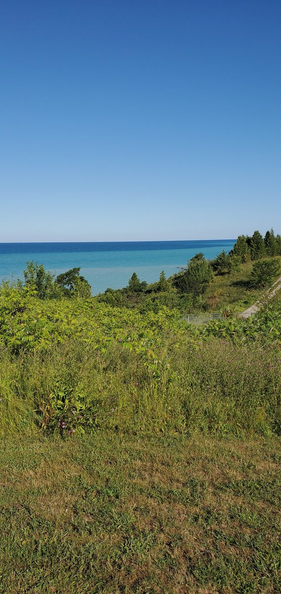 F3inGoderich's tweet photo. Walk to the lake this morning....
#shoresoflakehuron #colorfulwater #placeIcallhome #ShareYourWeather @MurphTWN @AnthonyFarnell @Northern_Ozbird https://t.co/y2ZqbYg2Sq