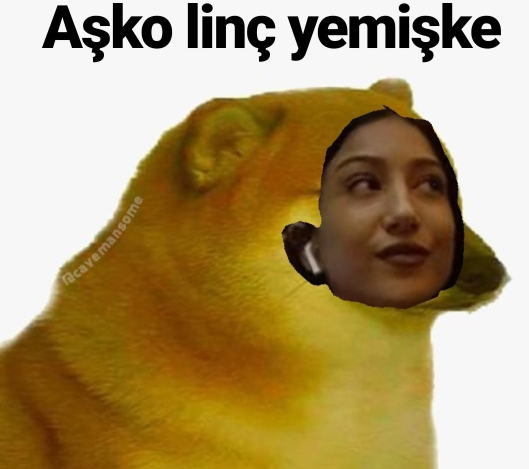 umitozdag7's tweet photo. @helingecer https://t.co/ULbmZqCgyn