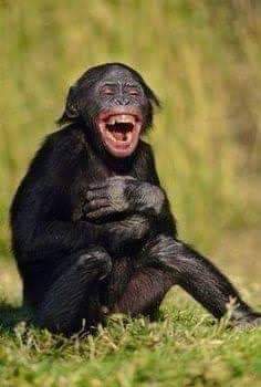 KaMashimane's tweet photo. @PrinceKaybee_SA 😂😂😂 Uhluphile yey https://t.co/rwsY08GAAm