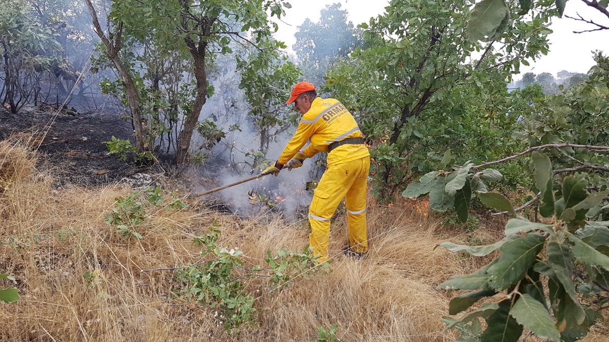 #LiceYanıyor diyerek HDP'li hesapların paylaştığı fotoğraflar bölgeden değil. Tamamı sahte. 

Gerçek ise:

Diyarbakır'ın Lice ilçesinde dağlık alanda çıkan örtü yangınına müdahale ediliyor.

Gerçek fotoğraflar bunlar 👇🏼