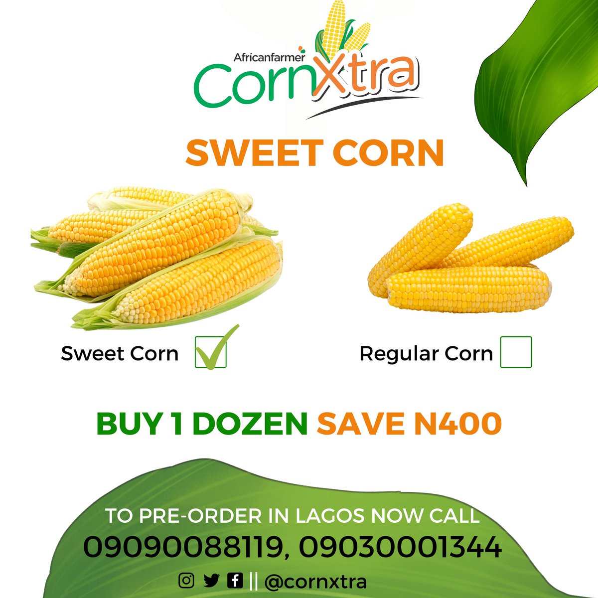 CornXtra's tweet photo. We are addicted to Sweet Corn
#whatareyouaddictedto https://t.co/mWwQJgHwFv