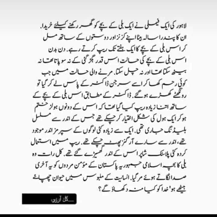 MeerHamzaAli3's tweet photo. کیا یہی ہے اسلامی جمہوریت جہاں 15 سال کے بچے بھی ایسی نازیباں حرکت کرنا جان چکے ہیں میرا سوال یہ ہے کے انہی پتا کیسے چلا آخر یہ تعلیم انہے کہا سے ملی
Ao mil kr trend chalaiyen
#banpornwebsite
#banvpn
@ZakaWaqar https://t.co/JoOxaF3KRQ