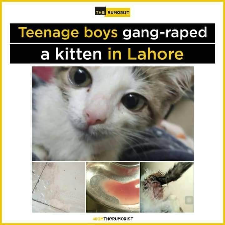 MeerHamzaAli3's tweet photo. کیا یہی ہے اسلامی جمہوریت جہاں 15 سال کے بچے بھی ایسی نازیباں حرکت کرنا جان چکے ہیں میرا سوال یہ ہے کے انہی پتا کیسے چلا آخر یہ تعلیم انہے کہا سے ملی
Ao mil kr trend chalaiyen
#banpornwebsite
#banvpn
@ZakaWaqar https://t.co/JoOxaF3KRQ