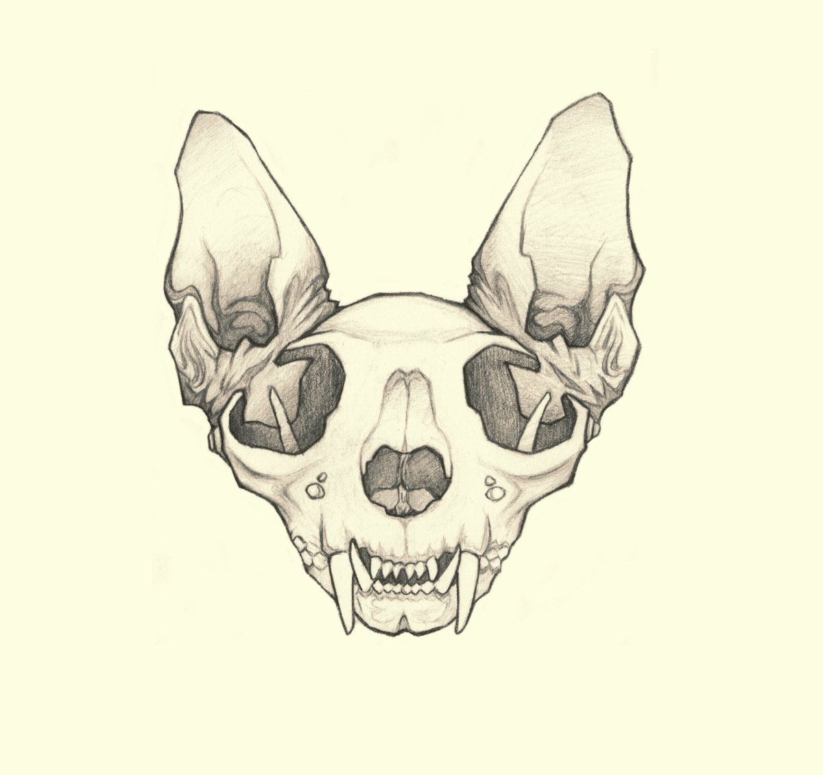 with1eye's tweet photo. Tags: #twitterart #ArtistOnTwitter #art #artwork #CatsOfTwitter #HorrorArt #skull #skullart  #Graphic #Pencildrawing #drawing #pencil #illustration #graphite #twitterart https://t.co/2hYLhE8LWr