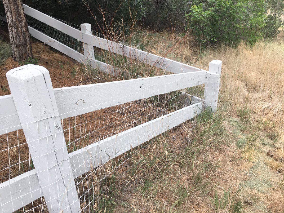 PRC_PrepRite's tweet photo. @PrepRiteCoating had a busy few days repairing fences around town.  Split rail fences take a beating.  Let us do the repairs at your property today.  #PRC #preprite #prepritecoatings #freeestimates #splitrail #fences #stain #posts #rails #repairs #carpentry #hoa #multifamily https://t.co/HdpCEn0coJ