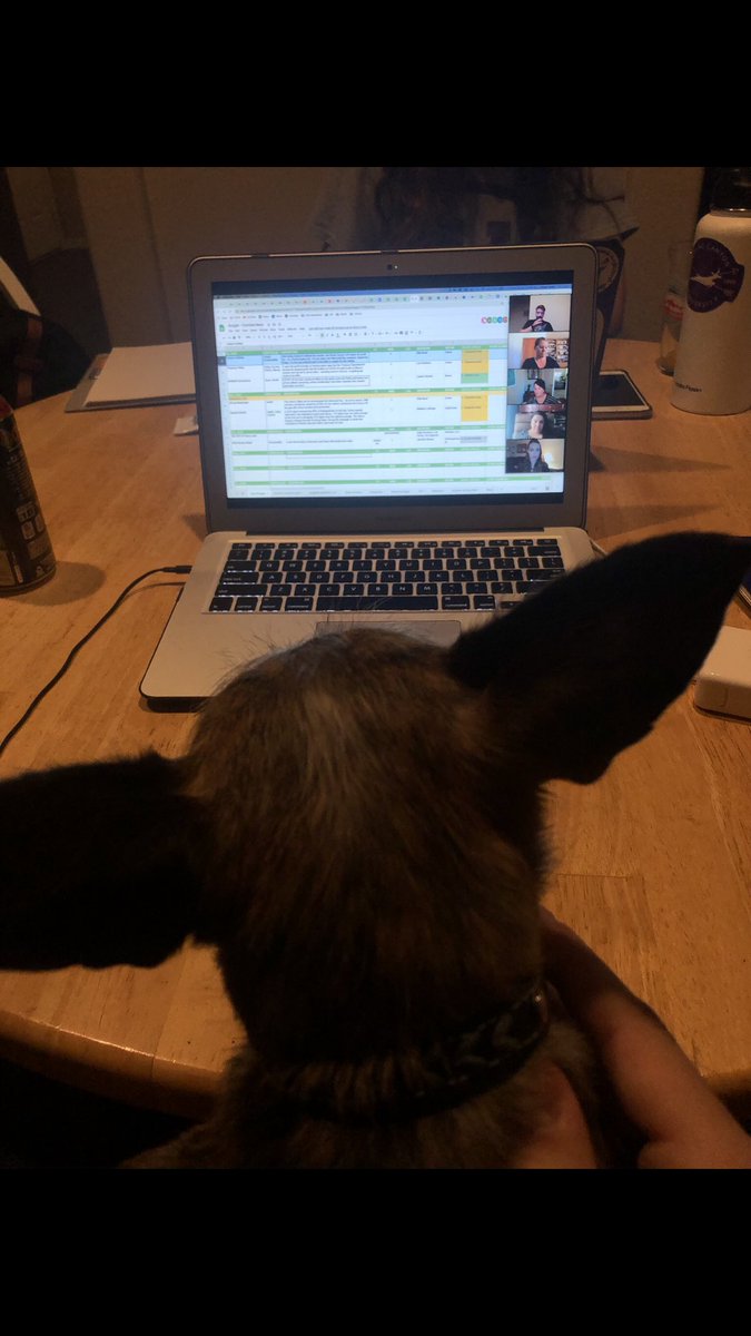 SportsJ_JordanR's tweet photo. On my last day with @cronkitenews, I would like to look back and show some love to the furry friends with which I have shared a desk with over the summer. Thanks for keeping me company❤️ https://t.co/1AyCXLIBcs