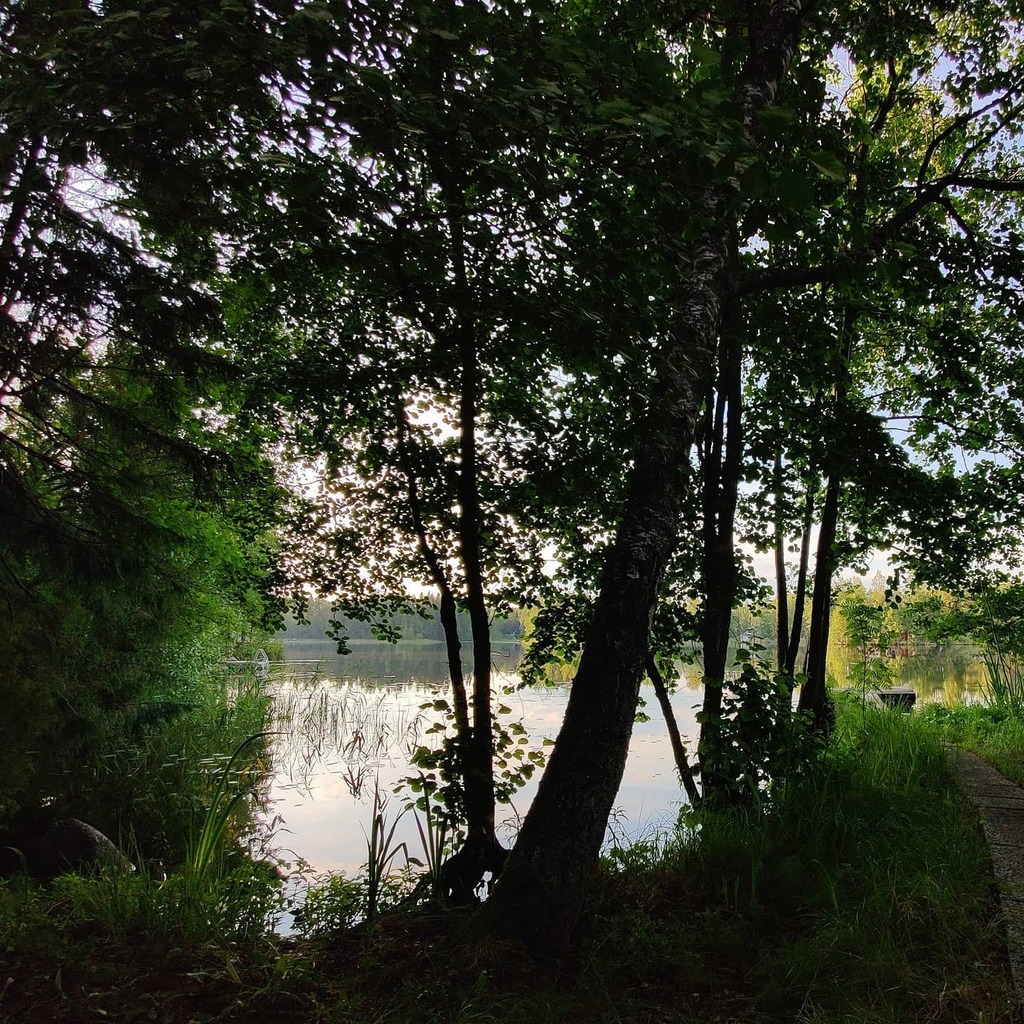 Kesäillan maisemaa ❤️ instagr.am/p/CDMlySeBXvB/