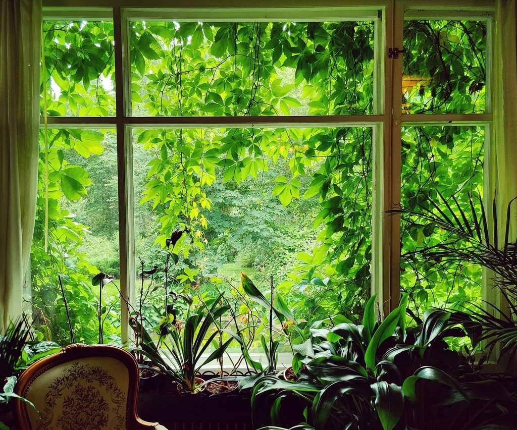 Porkkalan kartano Lammilla on paikka, jonka useampi saisi tietää. Nykyinen kartanorakennus on alkujaan peräti 1820-luvulta ja sen pihamaalta löytyy upeita jättimäisiä yli satavuotiaita agavekasveja. Kartanon puisto on hieno englantilaistyyppinen puisto h… instagr.am/p/CDMoUtFBNRm/