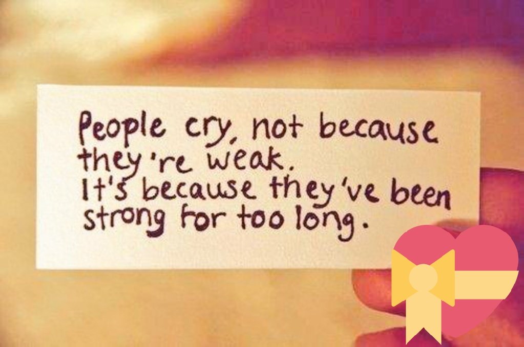 JORDAN & (Phoenix Conure) (@cinnaphoenix) on Twitter photo 