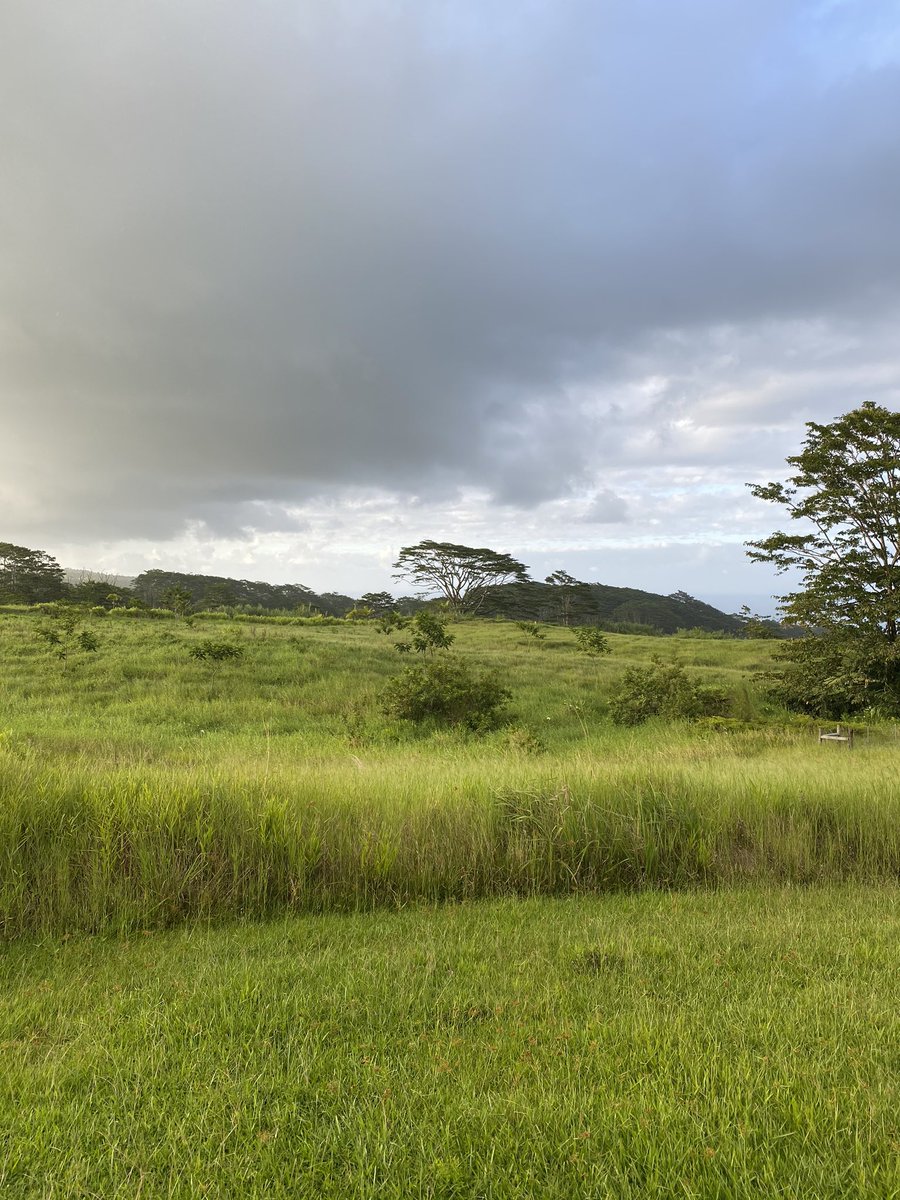 Storm rolling in. #hiking #NaturePhotography #rain #sunandstarsfarms