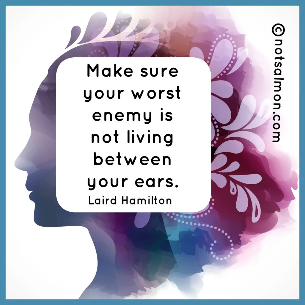 JORDAN & (Phoenix Conure) (@cinnaphoenix) on Twitter photo 