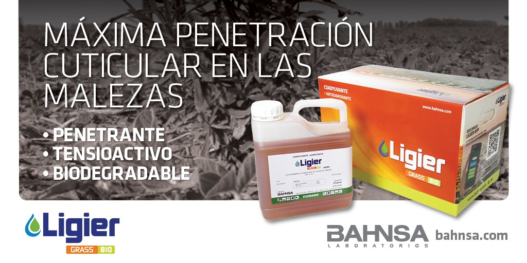 LigierAgro's tweet photo. Cómo ganarle a las #malezas? 🌿🤔 Con Ligier #GrassBio vas a poder mejorar calidad de aplicaciones 🚜💦 y conseguir máxima penetración cuticular
https://t.co/JMOEOxHDDg
#EficienciaComprobada https://t.co/U2J7iprumz