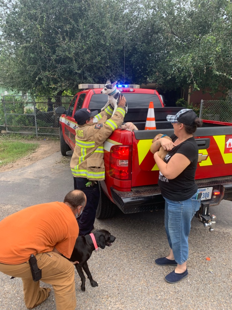 cityofedinburg's tweet photo. While putting out a house fire today, our firefighters also saved the family pets! The dog were unconscious when they were rescued from the burning home and firefighters revived them. 
We ♥️ our Fire Department! Thank you for everything you do for our community! https://t.co/ASRm7XxDdE