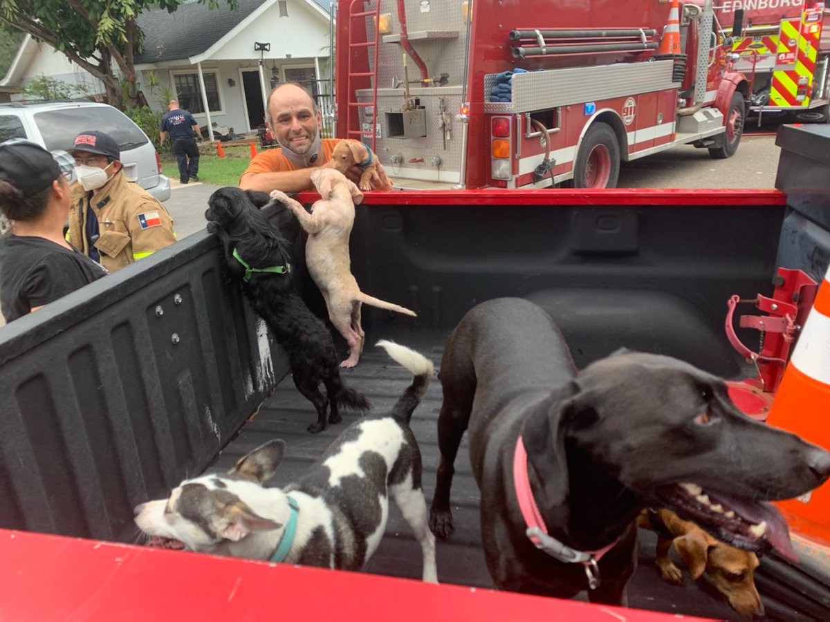 cityofedinburg's tweet photo. While putting out a house fire today, our firefighters also saved the family pets! The dog were unconscious when they were rescued from the burning home and firefighters revived them. 
We ♥️ our Fire Department! Thank you for everything you do for our community! https://t.co/ASRm7XxDdE