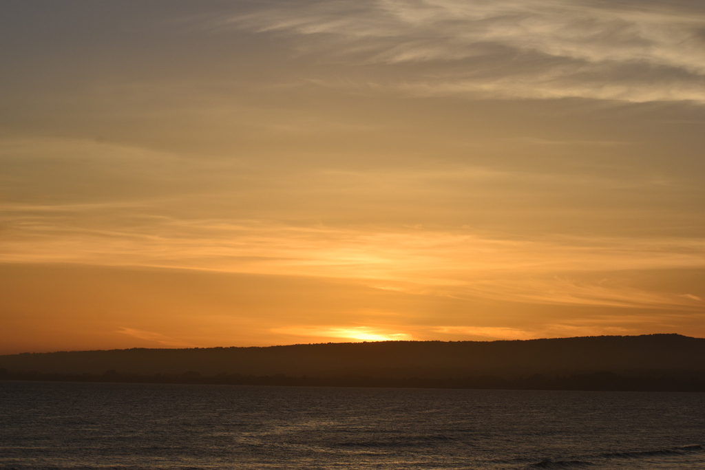 Whiteboywander1's tweet photo. Golden Sunset

#goldensunset #whiteboywanderlust https://t.co/PHx1L7W0wV