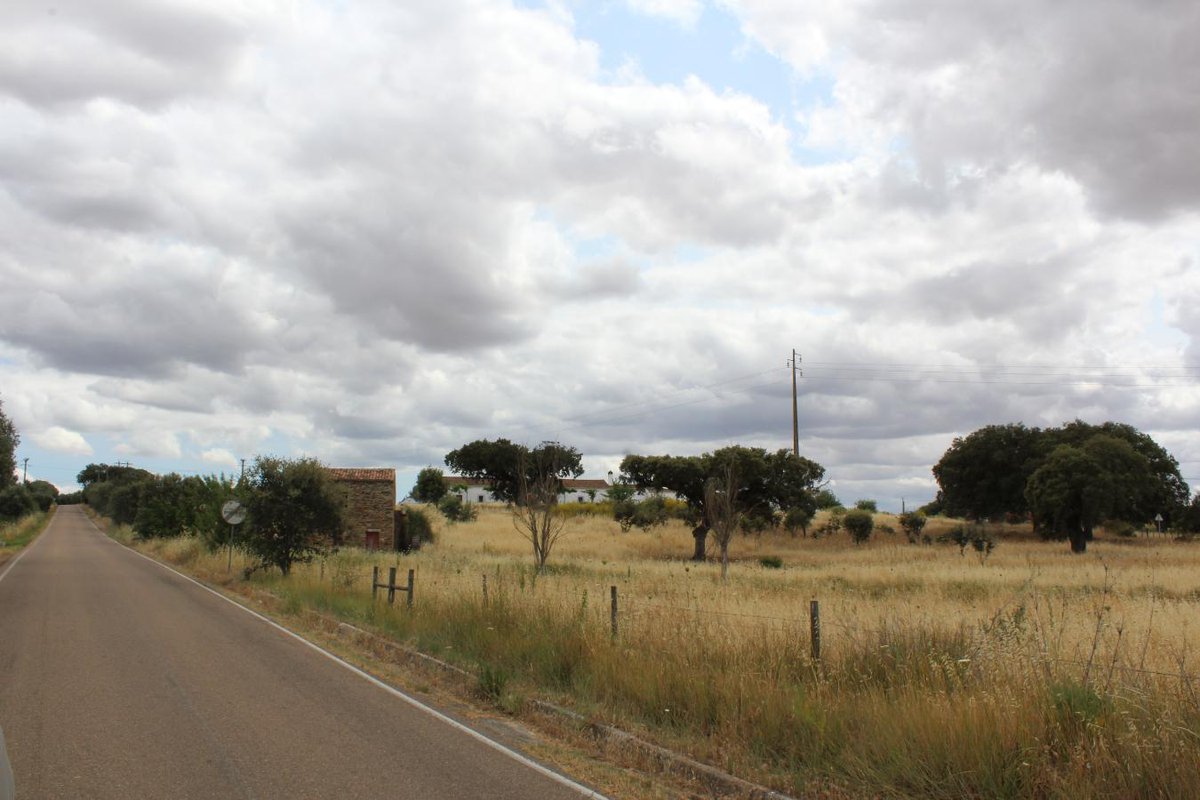 Leilosoc's tweet image. BUY NOW // COMPRE JÁ!

Terreno com 31.333m² · Évora

+ info: leilosoc.com/event/4309/lot…

#leilosoc #leiloespt #buynow #comprejá