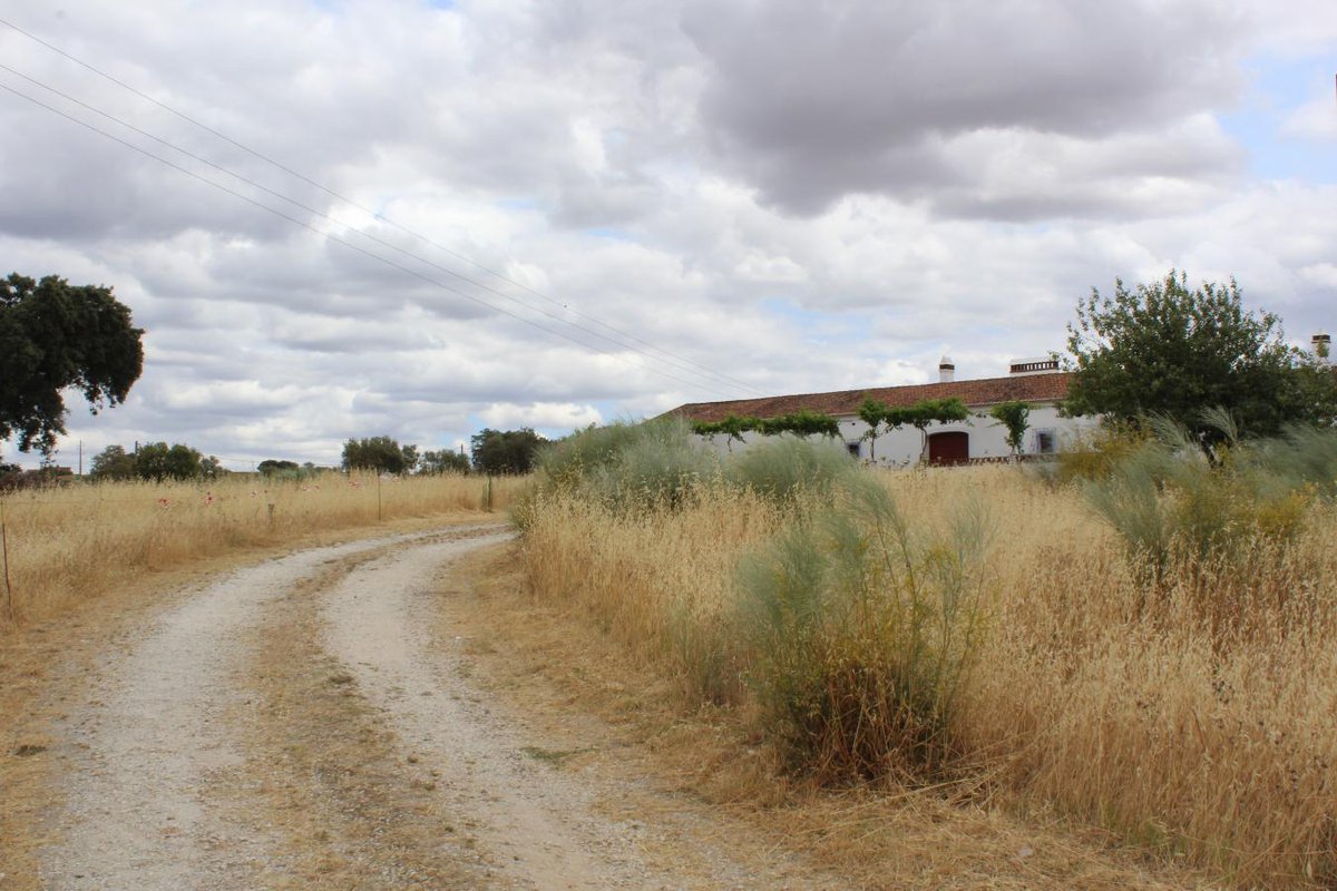 Leilosoc's tweet image. BUY NOW // COMPRE JÁ!

Terreno com 31.333m² · Évora

+ info: leilosoc.com/event/4309/lot…

#leilosoc #leiloespt #buynow #comprejá