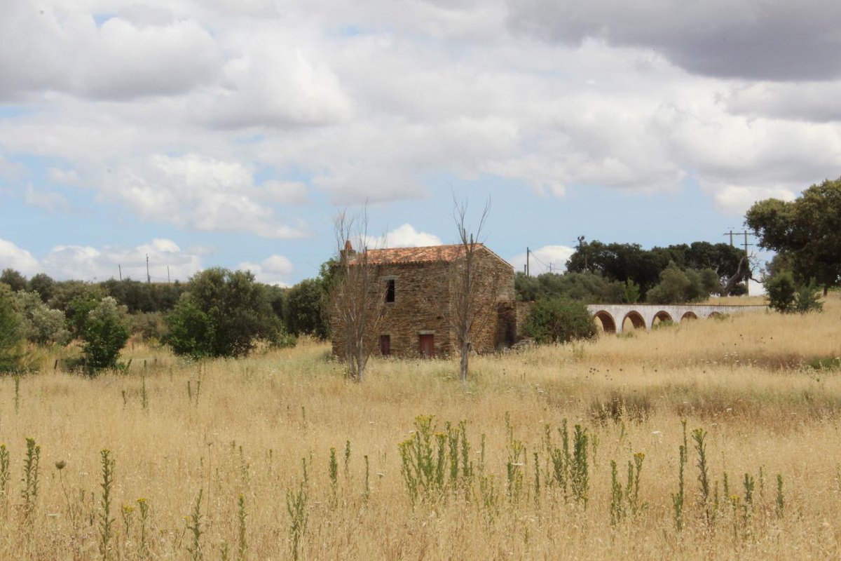 Leilosoc's tweet image. BUY NOW // COMPRE JÁ!

Terreno com 31.333m² · Évora

+ info: leilosoc.com/event/4309/lot…

#leilosoc #leiloespt #buynow #comprejá