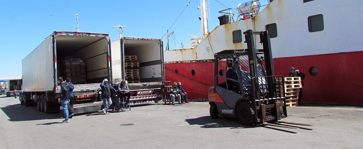 pescaremdp's tweet photo. Las exportaciones del sector cayeron un 4,3 por ciento durante el primer semestre. La industria realizó envíos por 837 millones de dólares. La buena temporada de calamar no alcanzó a compensar la baja de otros recursos, como langostino. 👉https://t.co/KOH3iOYIXa https://t.co/5pVCy1WXRF