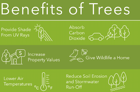 TreesMatterAZ's tweet photo. If marginalized communities gained all of these benefits from trees, imagine what kind of steps toward a better quality of life could we start seeing for those of us who need it most? 🌿⁠  
Images 1 &amp;2 by @teresavillegasart⁠
#treesmatter #treeequity #treesareinfrastructure https://t.co/v99nJPwYV8