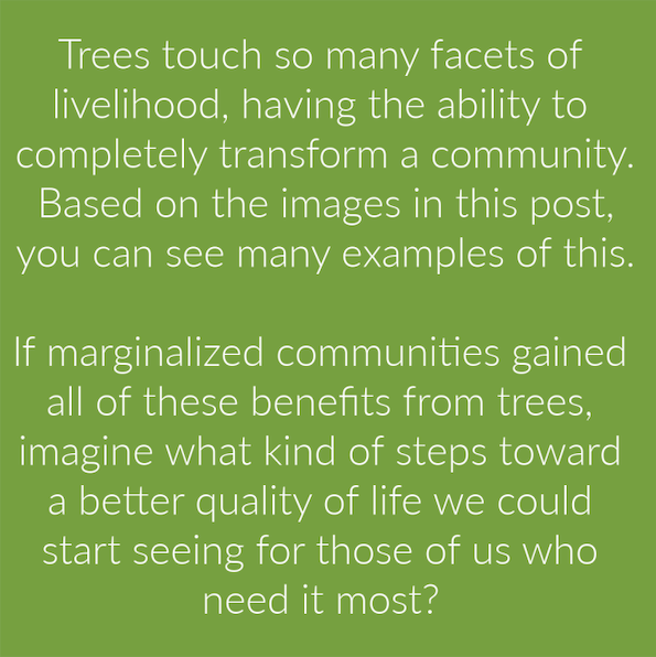 TreesMatterAZ's tweet photo. If marginalized communities gained all of these benefits from trees, imagine what kind of steps toward a better quality of life could we start seeing for those of us who need it most? 🌿⁠  
Images 1 &amp;2 by @teresavillegasart⁠
#treesmatter #treeequity #treesareinfrastructure https://t.co/v99nJPwYV8