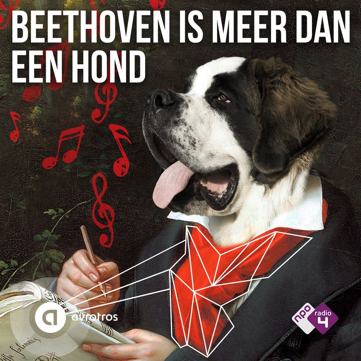 Eefje Hovelynck (@eefinthecity) / Posts / X