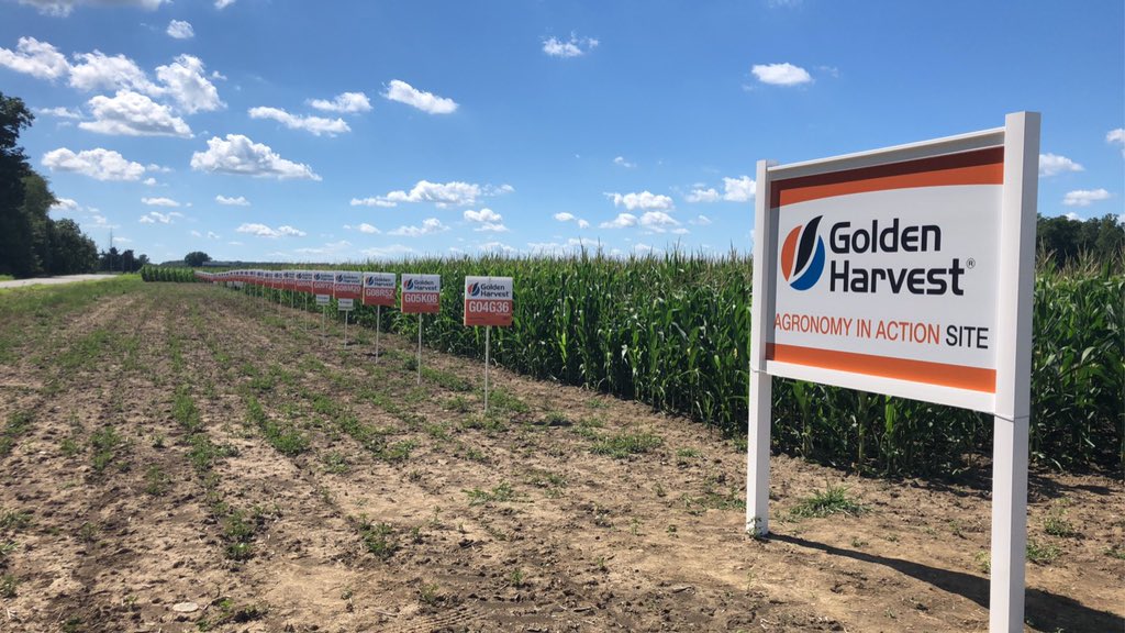 CBowlingAg's tweet photo. @GldnHarvest Agronomy in Action site near New Bremen OH is looking the part after the recent rain. Featuring Hybrid/Variety trials, Ear Flex by population, Seedcare, Xtend vs E3 showdown, and so much more! Open invitation to visit anytime you’re in the area. @Wayde_Looker https://t.co/cKUTdW6npu