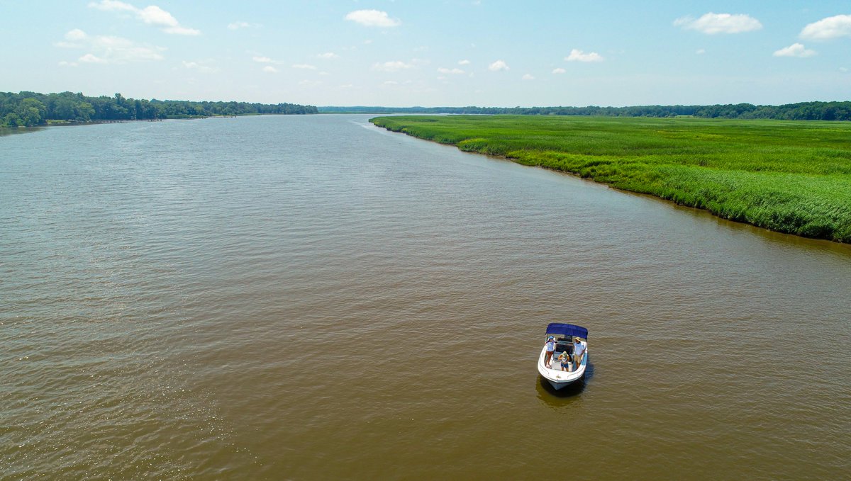 This week I'm analyzing drone images taken of the upper #ChoptankRiver with our @MicaSense multispectral sensor. Thanks to @ShoreRivers Choptank Riverkeeper Matt Pluta for allowing me to collect this data and intern Ellie for being such a professional drone catcher! #Drones4Good