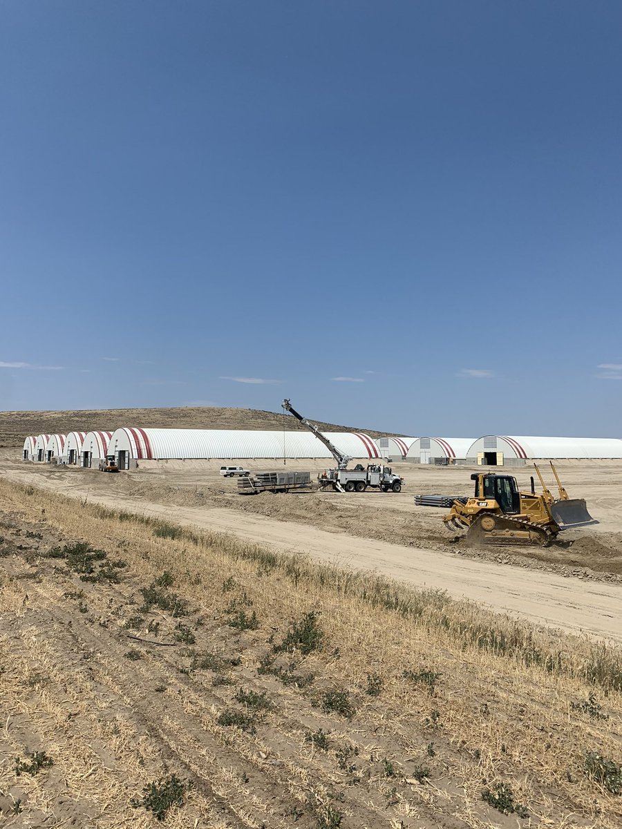 agri_cole's tweet photo. Getting ready to pour asphalt and shanking in new power for the new storages getting ready for #harvest2020 #tubertuesday https://t.co/7MjNZpGTHd