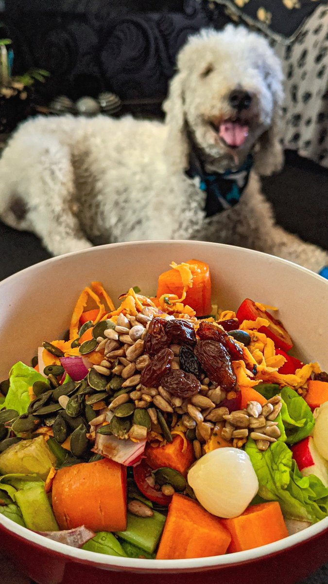 Sankaran_Aparna's tweet photo. Another day, another salad ๐ฅ
Cheers to #HealthyFood ๐
Special appearance by Mr. Ned ๐พ
#teampixel @madebygoogle #dogsoftwitter #notdogfood ๐
https://t.co/8Zvtb47bbk